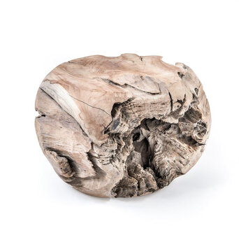 Gommaire Coffee Table Root Ball