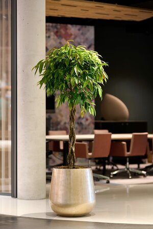 Groningen Pot Light Gold